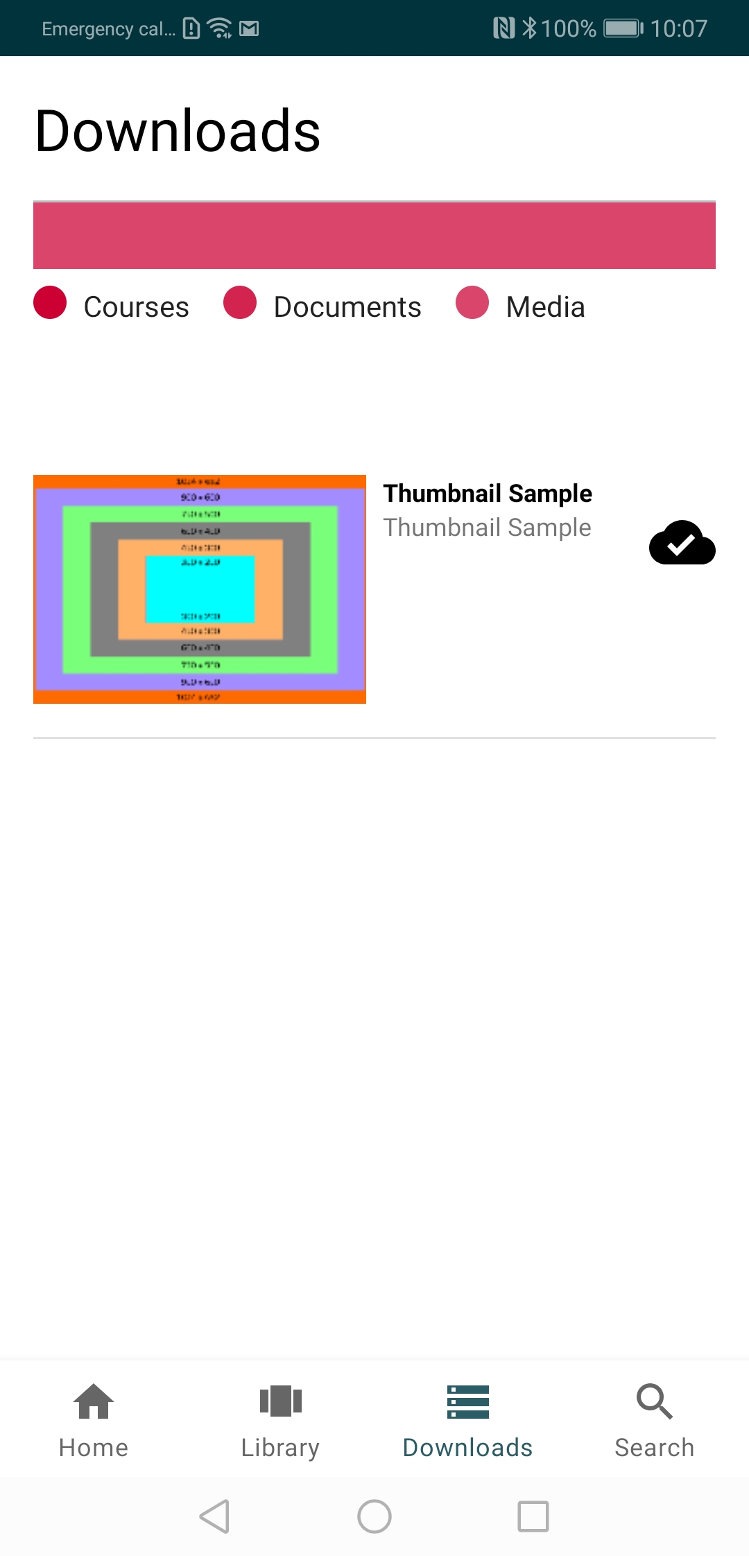 7_Downloads_Page.jpg