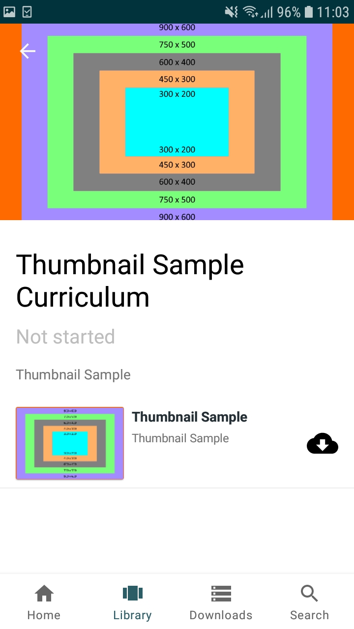 6_Item_in_a_curriculum.jpg