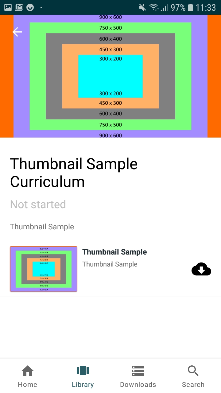 6_Item_in_a_currcilum.jpg