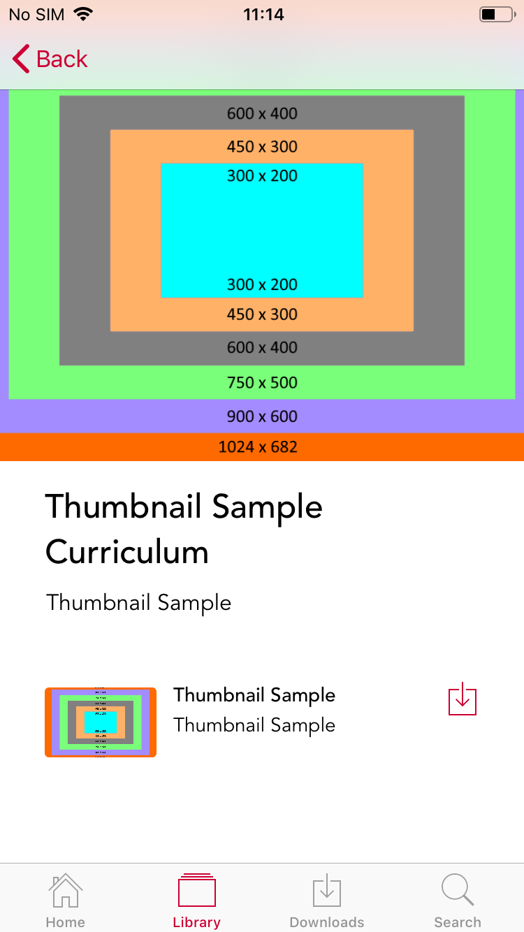 6_Item_in_a_Curriculum.PNG