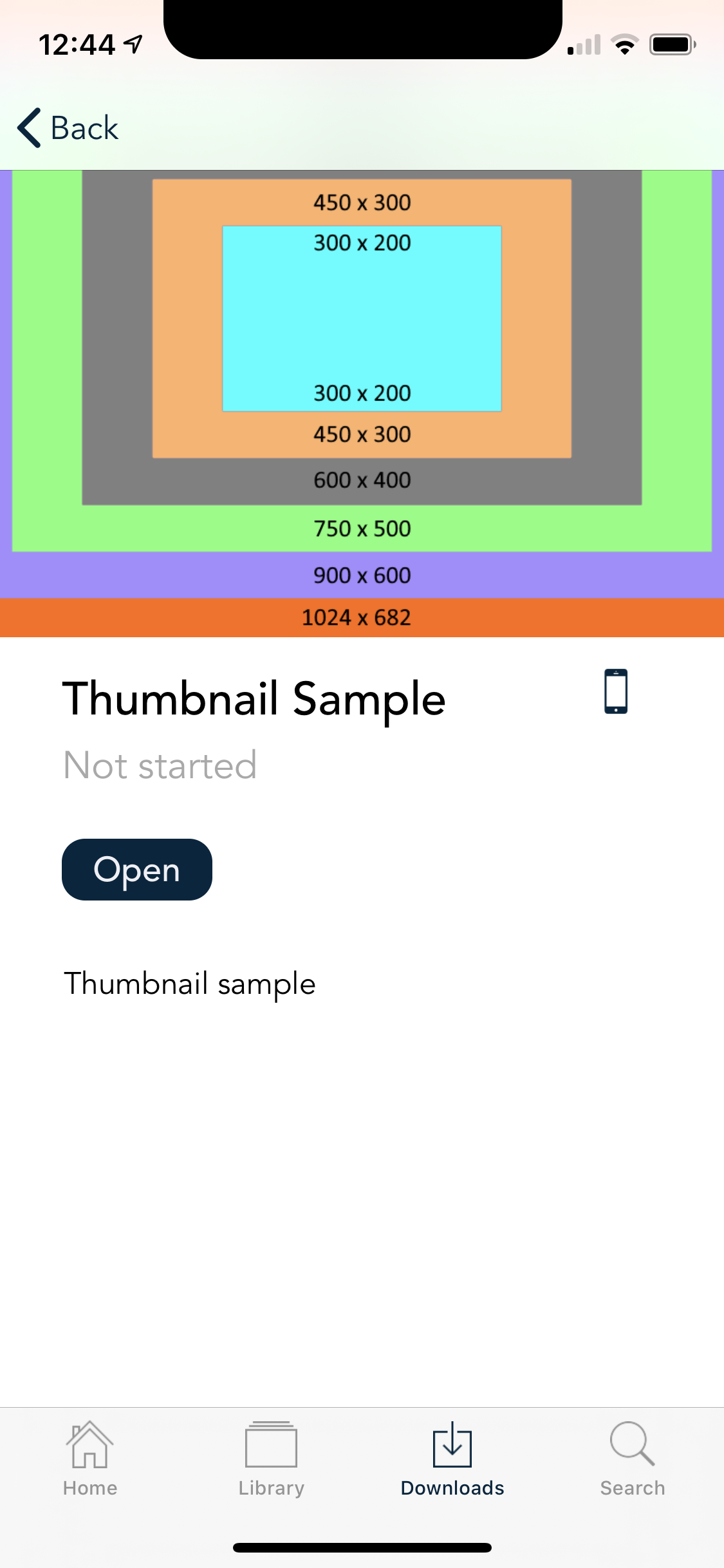 2_Item_Details_Page_from_Downloads.png