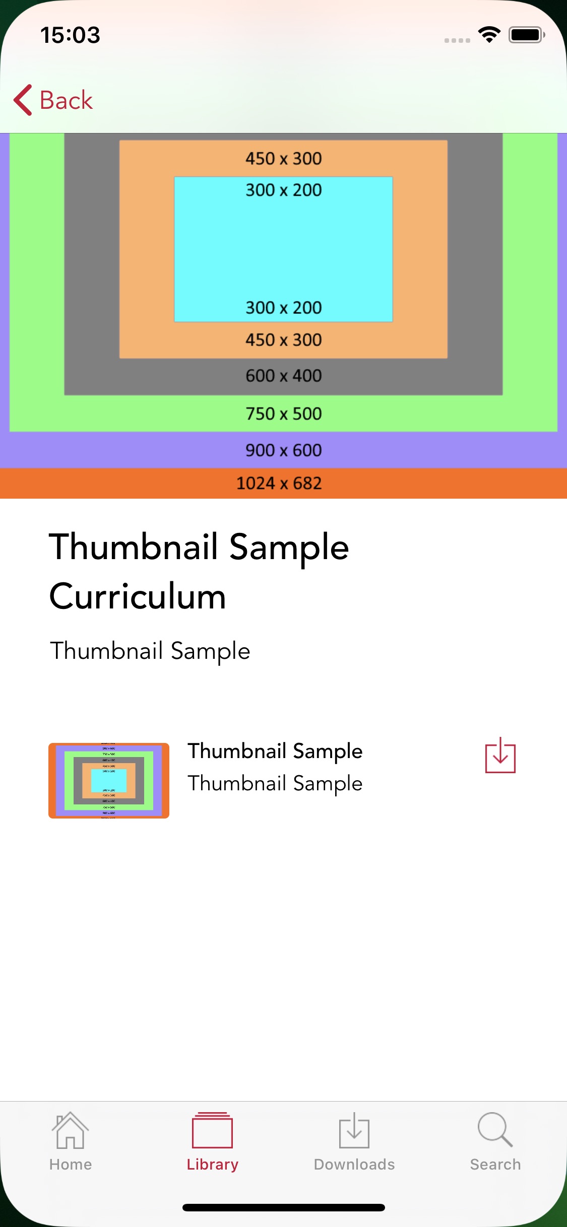 4_Item_in_a_curriculum.png